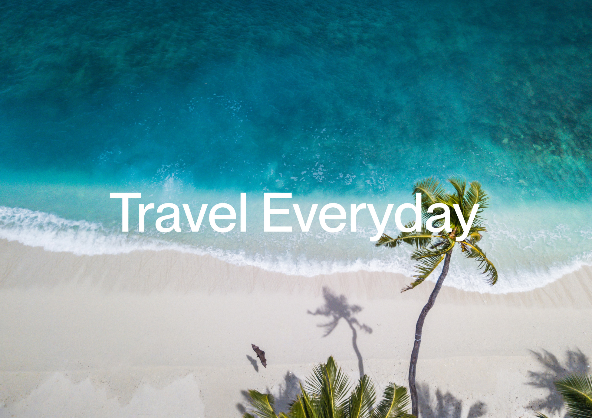 [마이리얼트립] CEO OFFICE 사업 개발 인턴