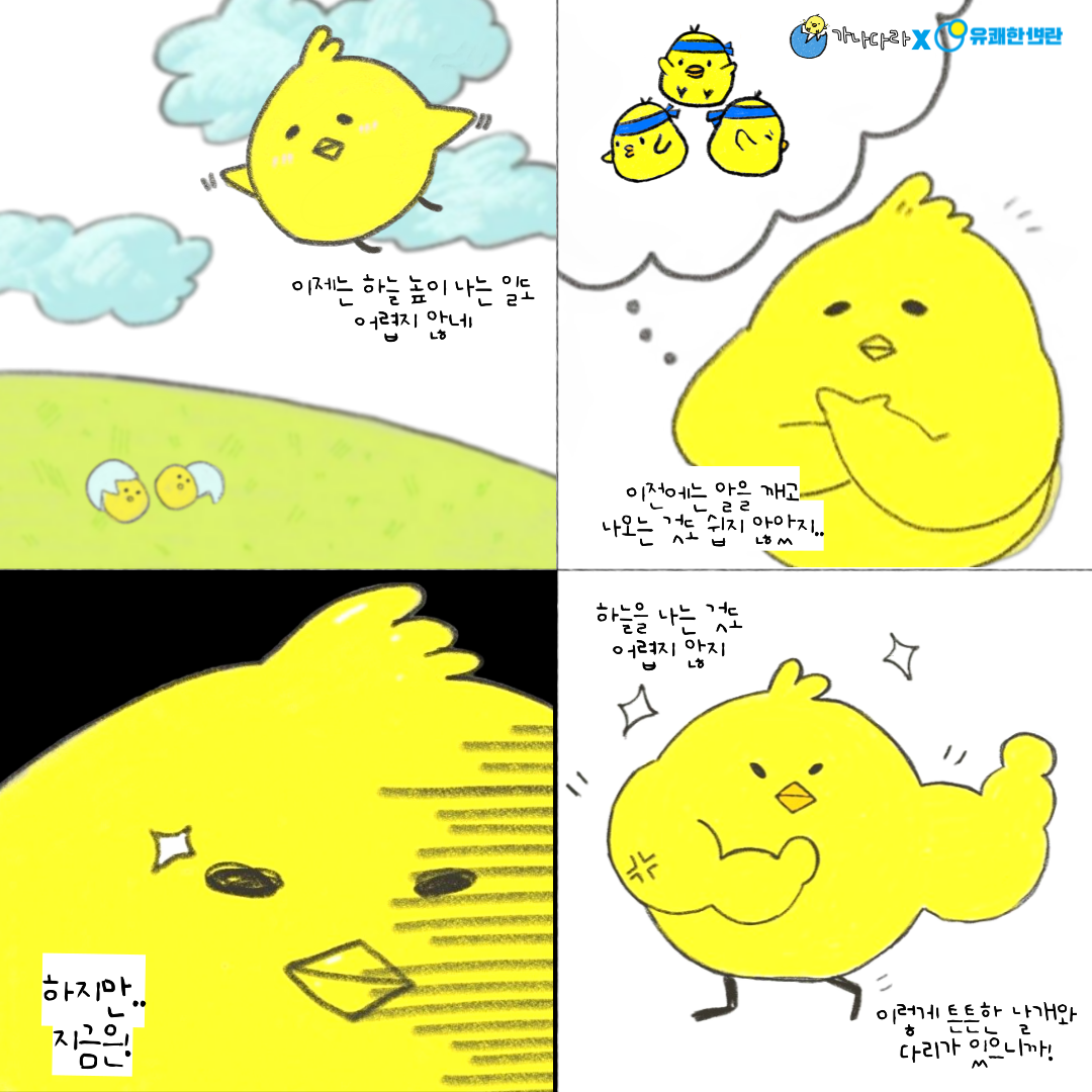 '다'시 '라'이징:Before&After 이야기 공모