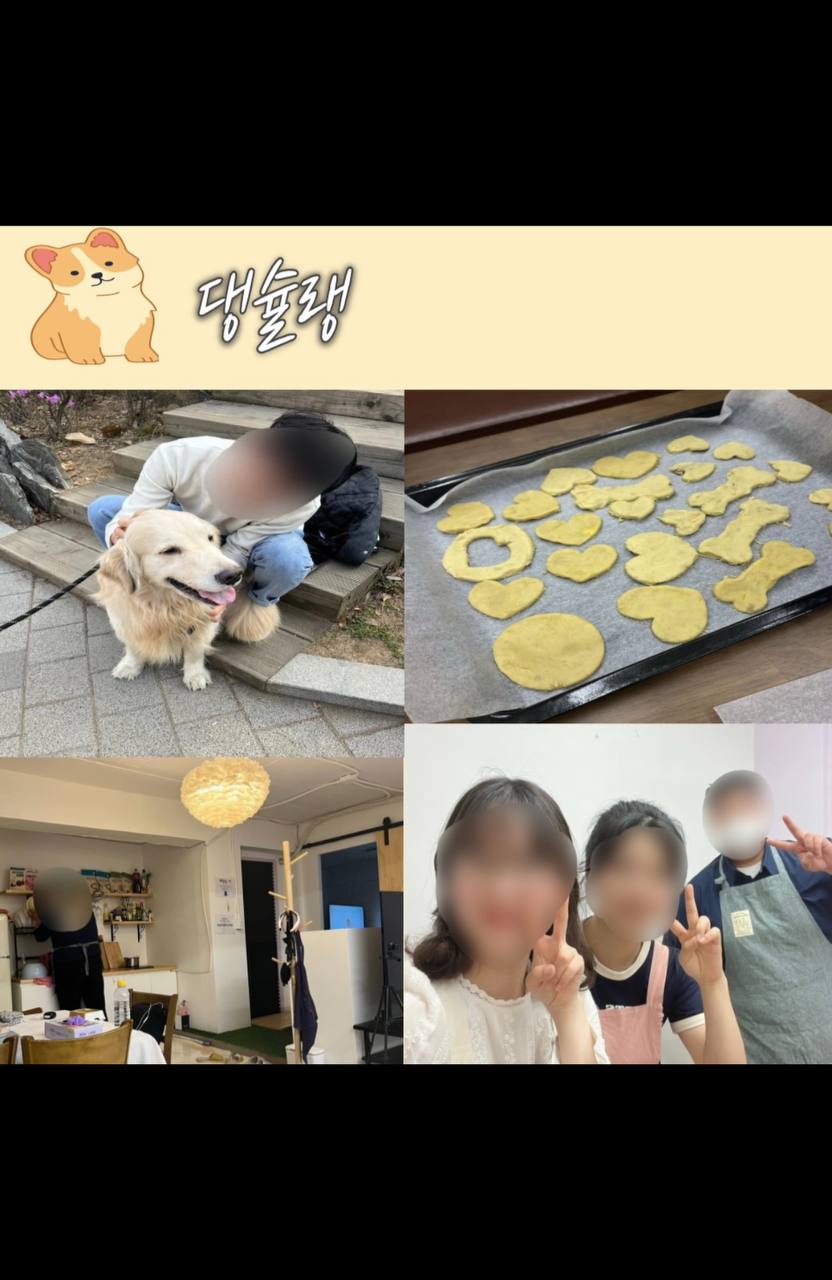 댕슐랭가이드