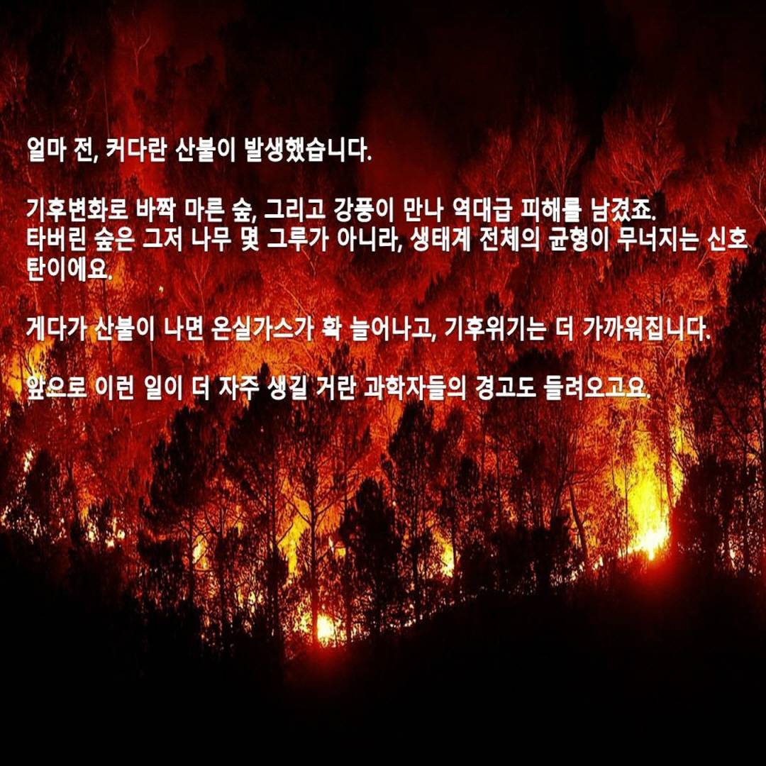 지지배 정기 스터디 -  끊임 없는 산불 원인...예방책은?