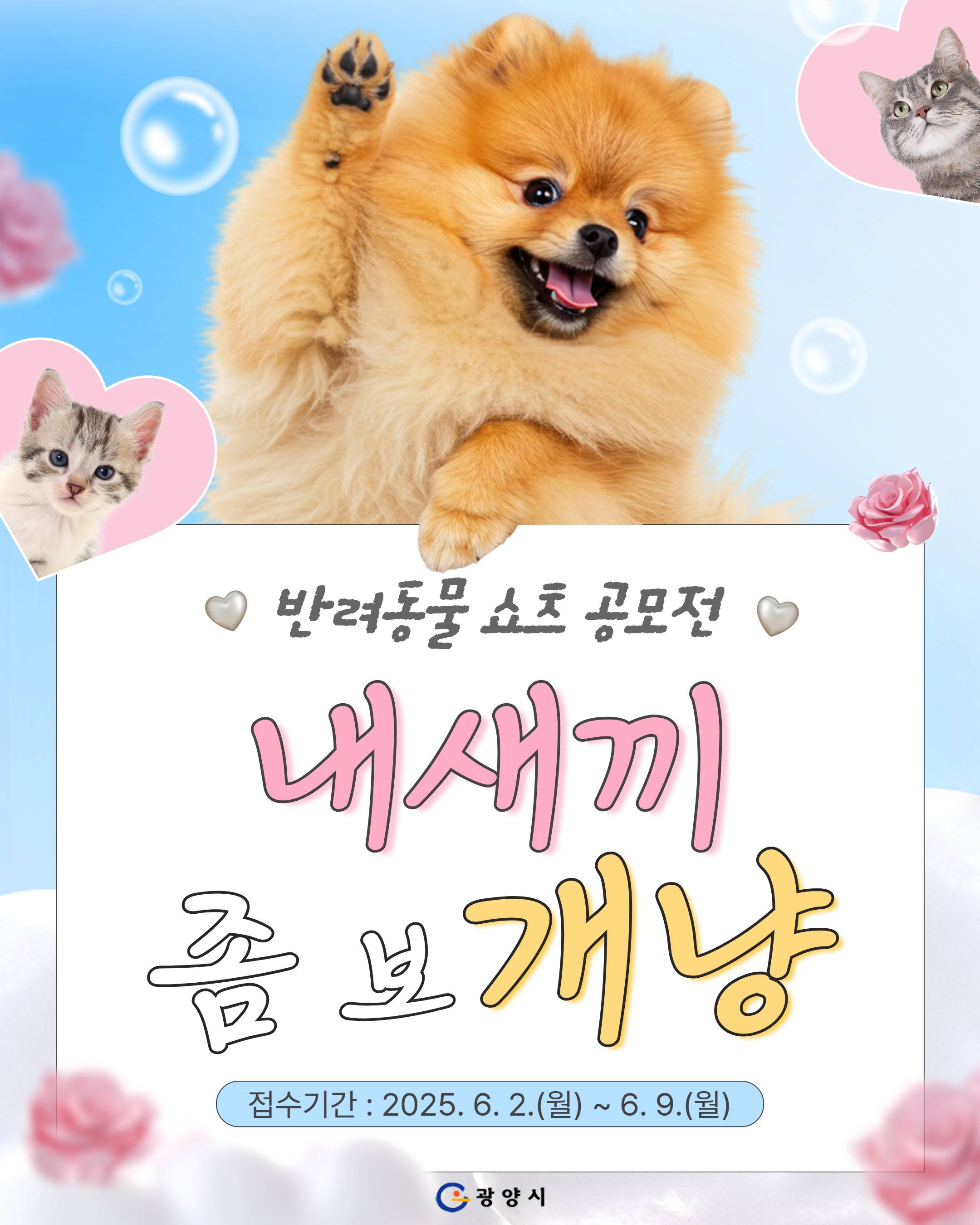 내새끼 좀 보개냥 쇼츠 공모전 개최