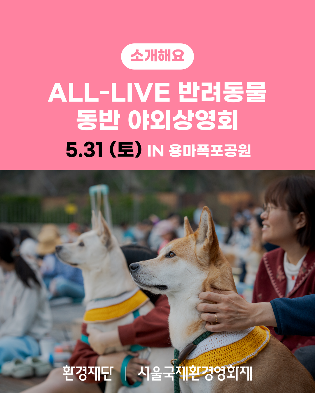 제22회 서울국제환경영화제 <ALL: LIVE> 반려동물 동반 야외상영회