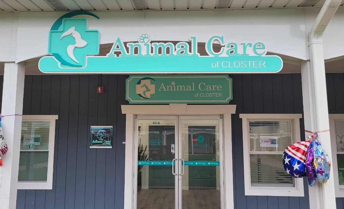 [미국] 미국 뉴저지주에 위치한 동물병원 간호사 채용