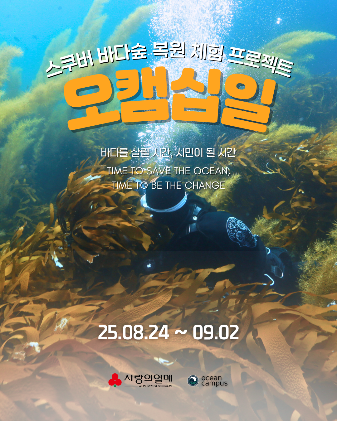 스쿠버 바다숲 복원 체험 프로젝트 오캠십일(~8/20)