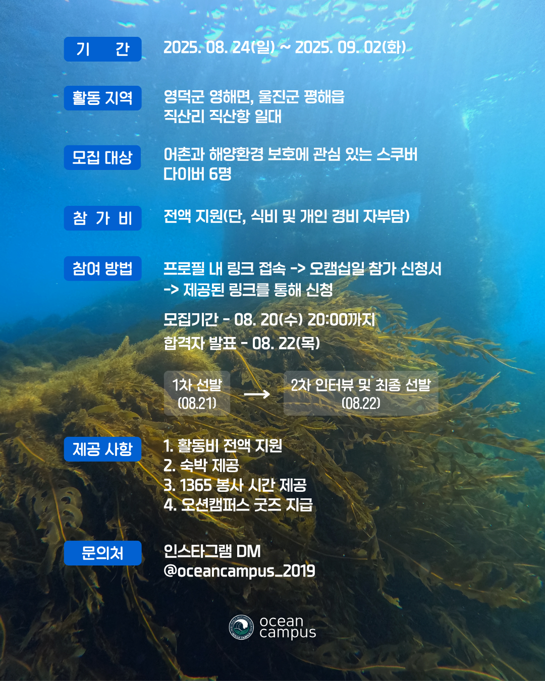 스쿠버 바다숲 복원 체험 프로젝트 오캠십일(~8/20)