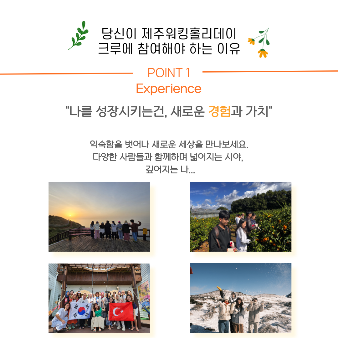 [2025년) 제주 워홀 (크루로 한 달 살아보기)