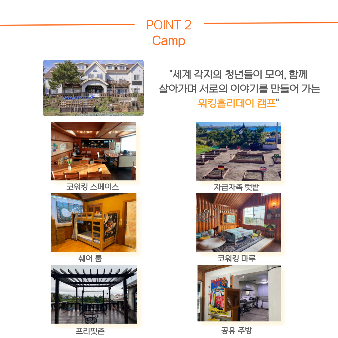 [2025년) 제주 워홀 (크루로 한 달 살아보기)