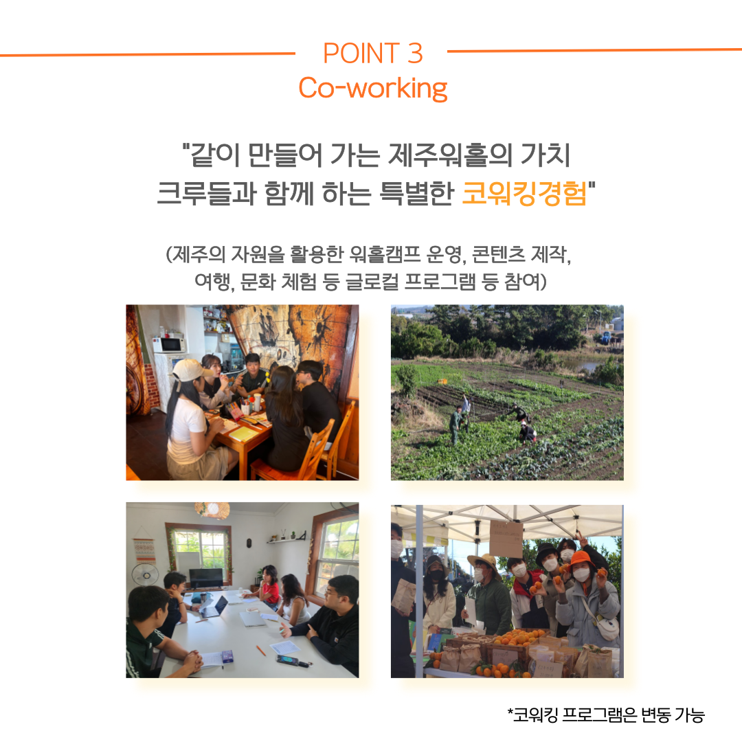[2025년) 제주 워홀 (크루로 한 달 살아보기)