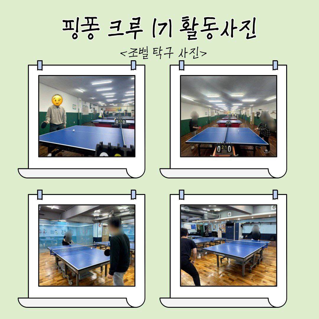 대학생 연합 탁구 동아리 [핑퐁 크루] 4기 회원 모집!