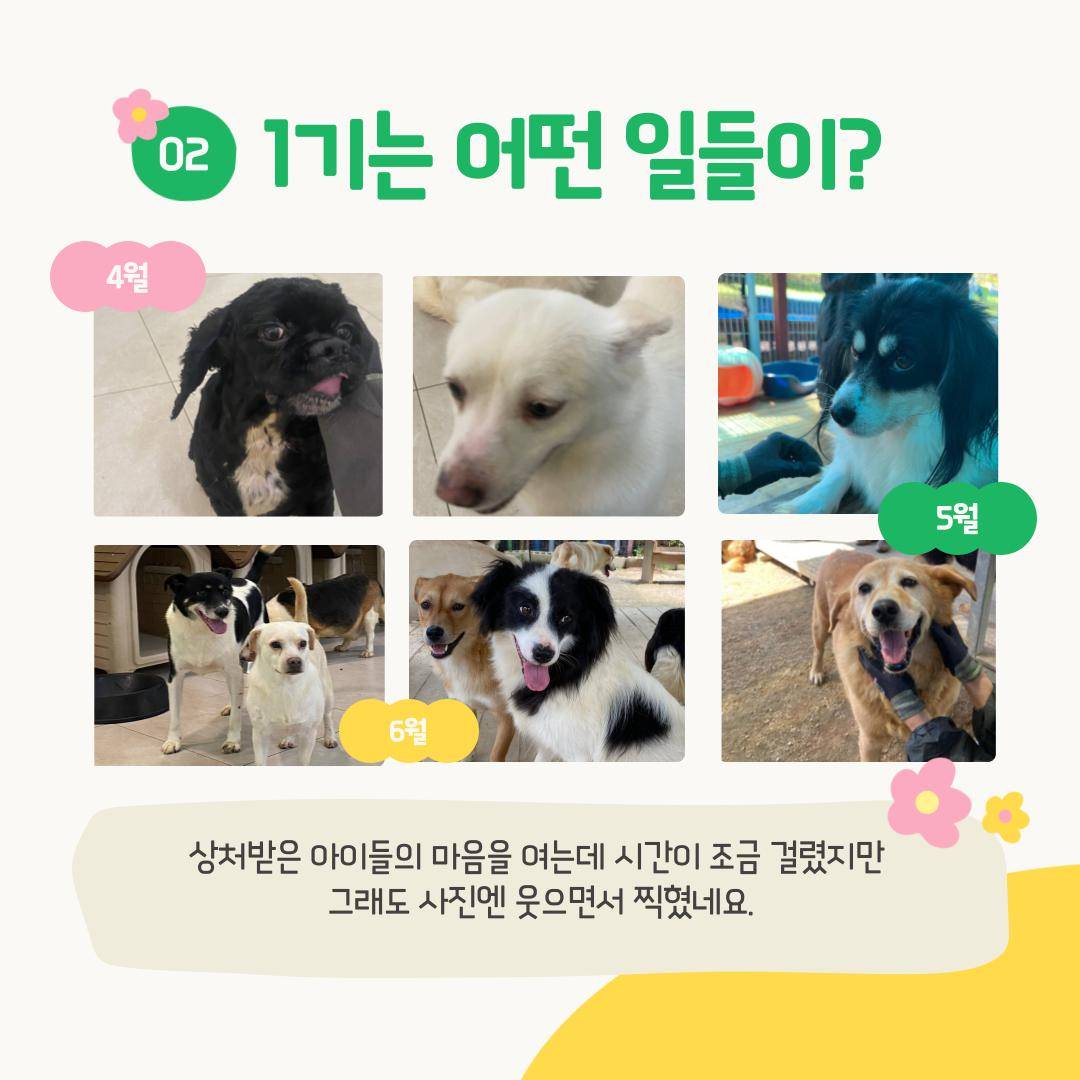 유기동물봉사동아리 <동물의 행성: 동행>