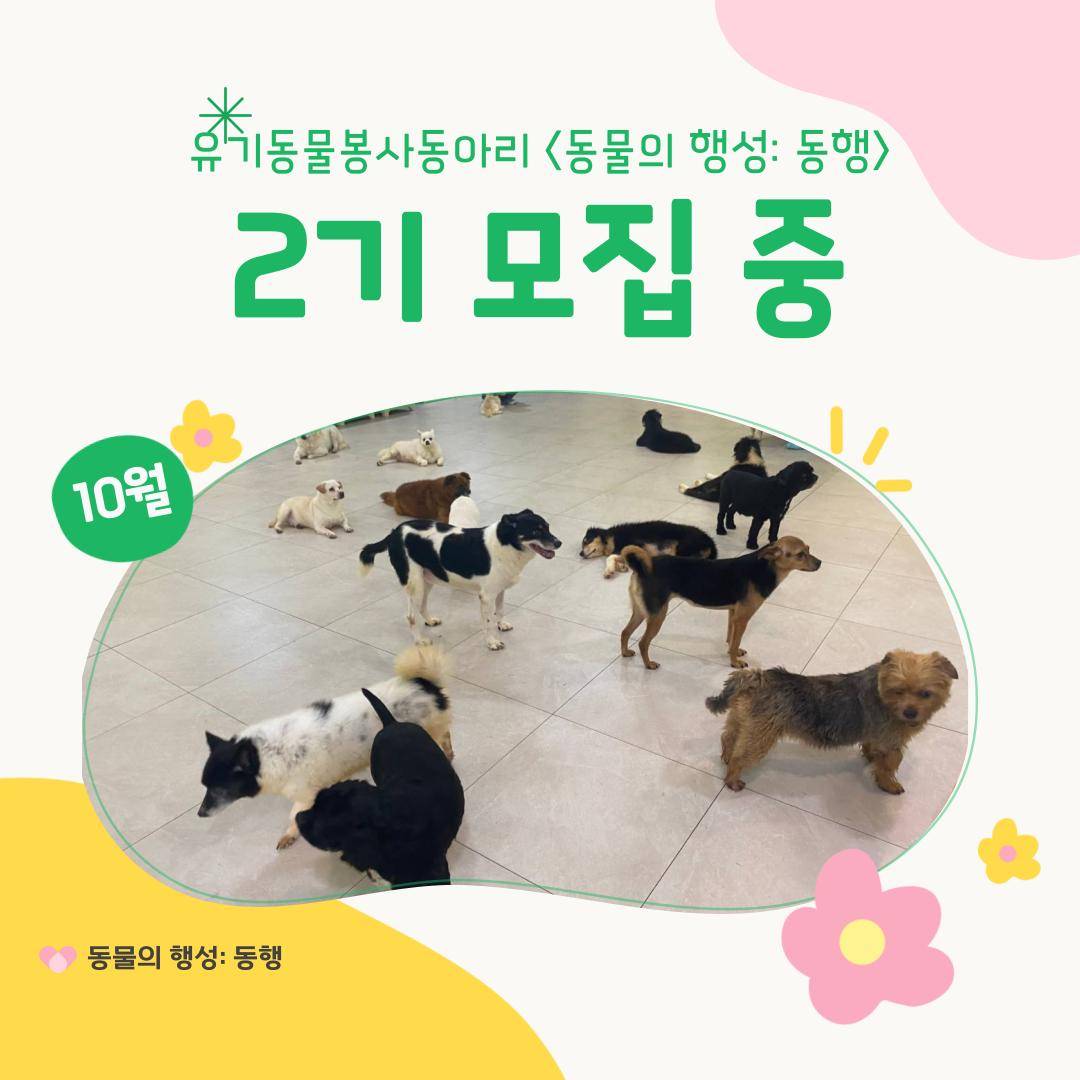 유기동물봉사동아리 <동물의 행성: 동행>