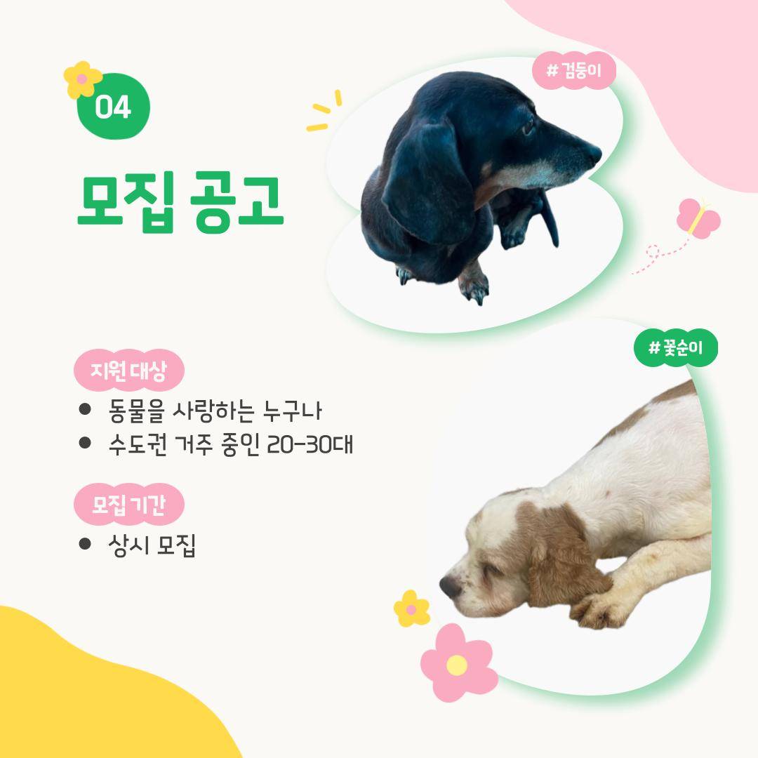 유기동물봉사동아리 <동물의 행성: 동행>