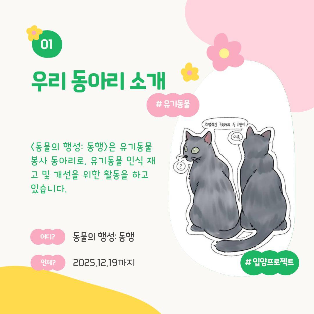 유기동물봉사동아리 <동물의 행성: 동행>