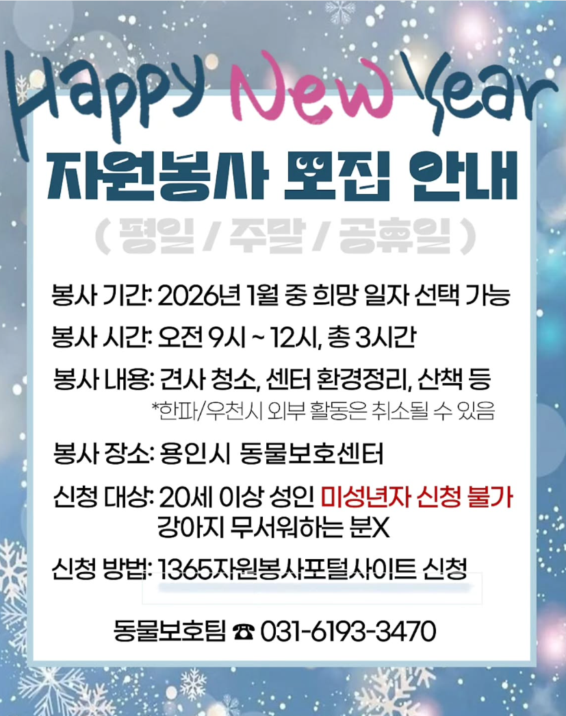 용인시 동물보호센터 돌봄 견사 청소 및 산책 봉사