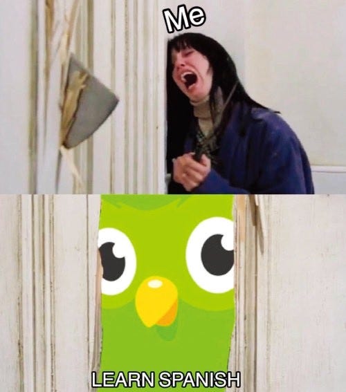 언어 앱 결제만 해두고 방치한 사람들 모집!