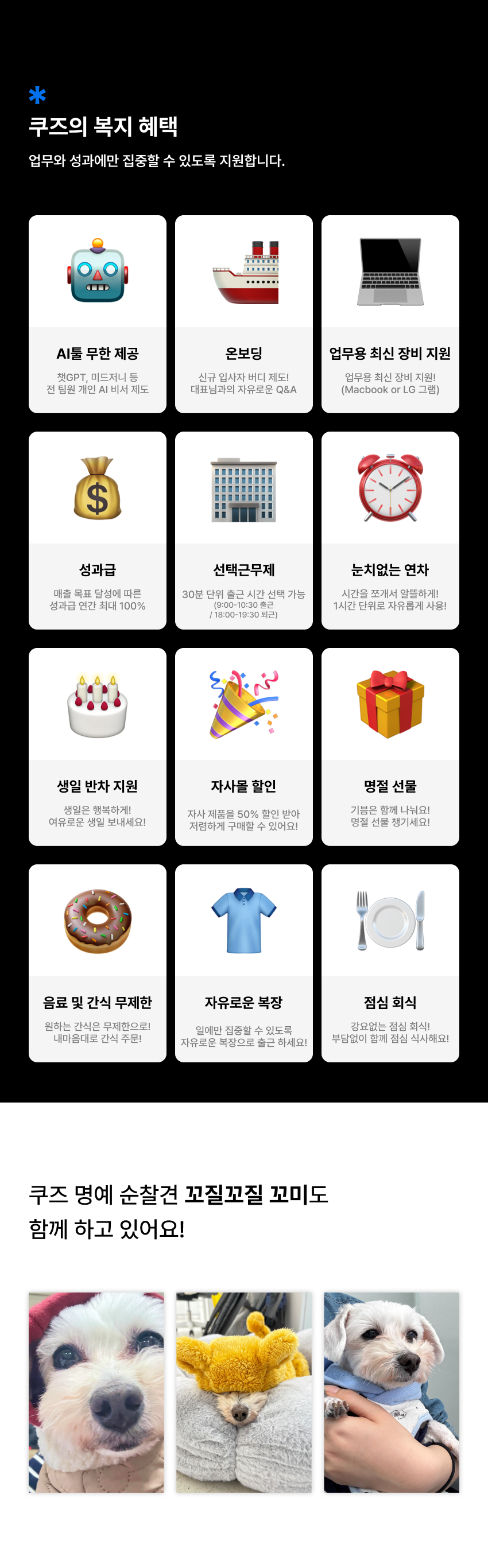 [뷰티&이너뷰티] 상품기획 PM 전환형 인턴