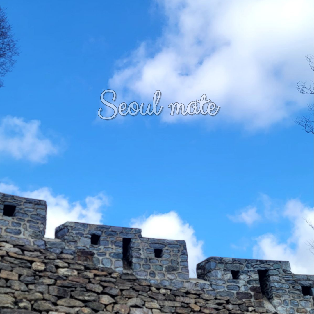 서울 명소 나들이, 인생샷 건지는 모임, 서울 메이트(Seoul Mate) 모집합니다!