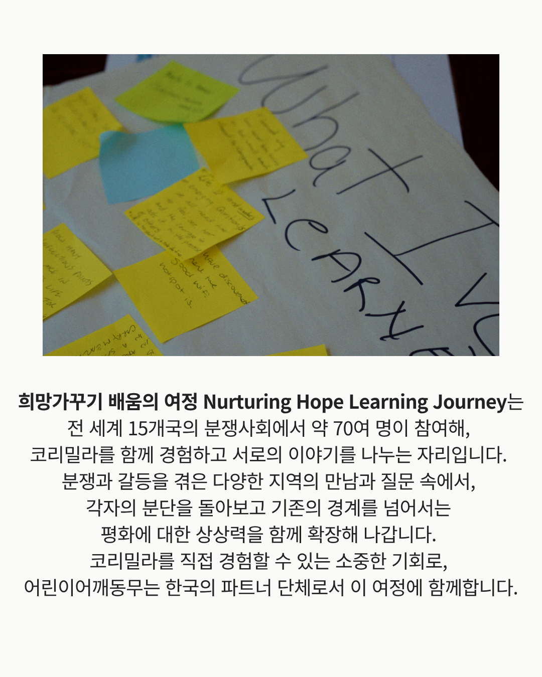 코리밀라와 함께하는 아일랜드섬 평화연수