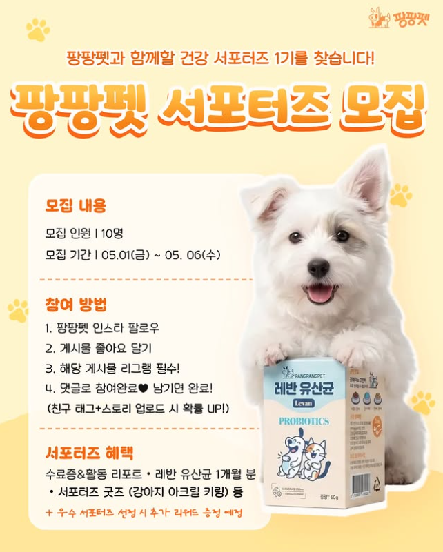 팡팡펫 서포터즈 1기 모집