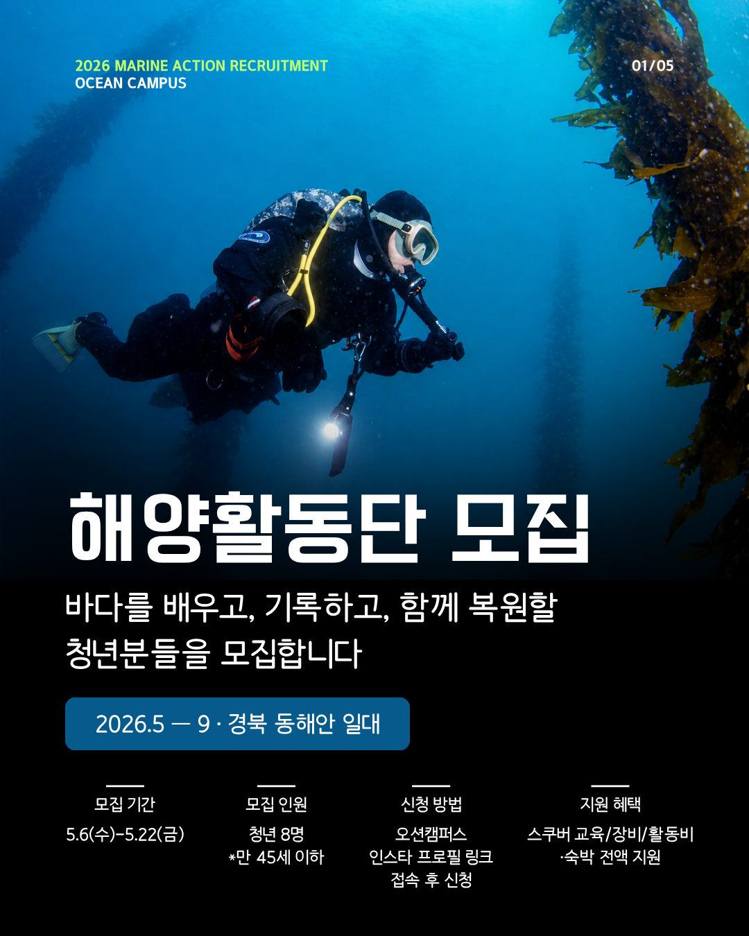 OCEANCAMPUS 해양활동단 모집