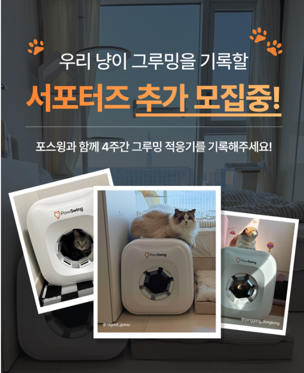 포스윙 그루밍 적응단 서포터즈 추가 모집