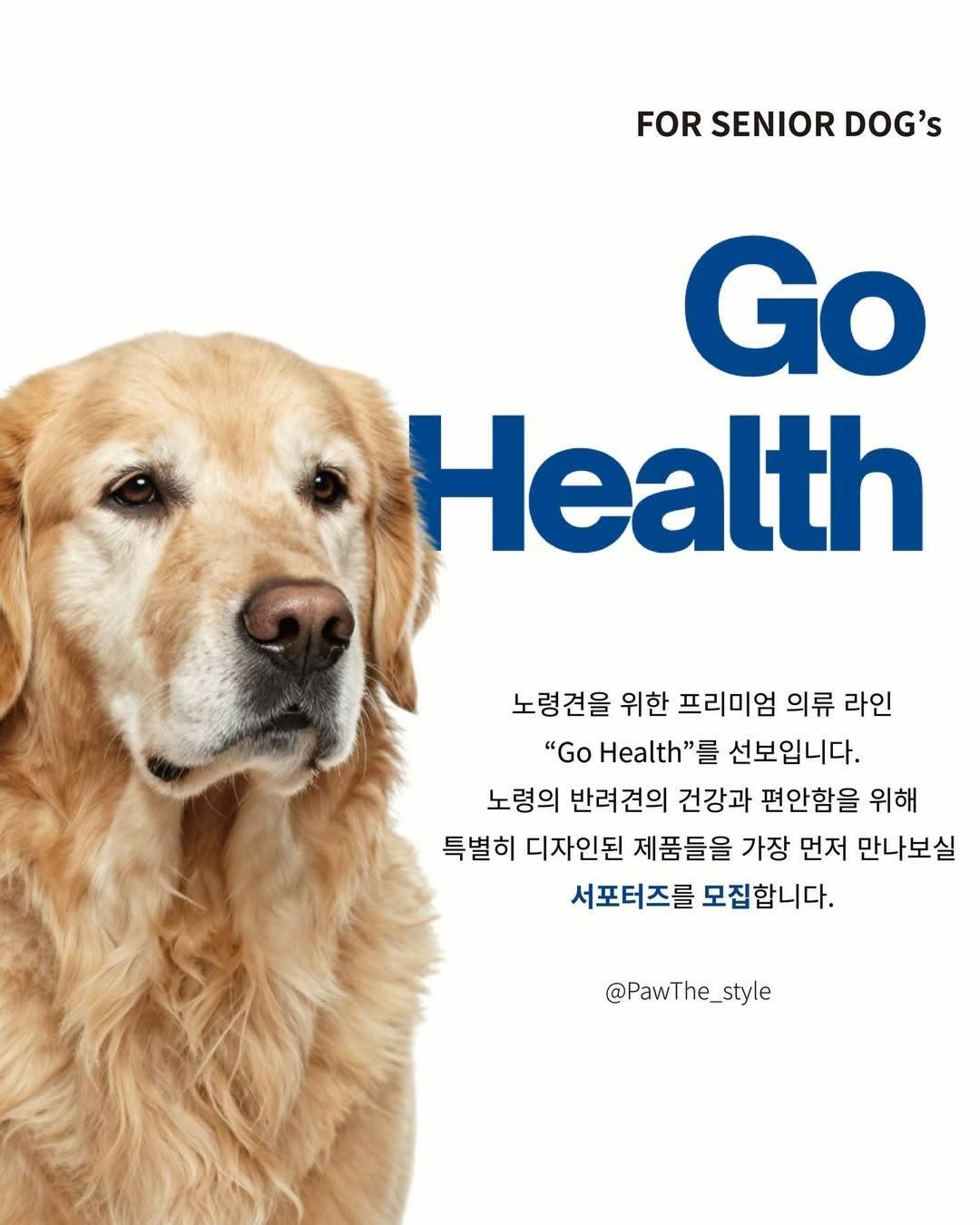 FOR SENIOR DOG‘s | Go Health 서포터즈 모집