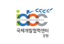 [강원국제개발협력센터] 2025년 상반기 개발협력 영프로페셔널(YP) 채용 (~12/29)