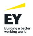 [EY한영] 전략·재무자문부문 EY-Parthenon PMI Strategy팀 인턴 채용