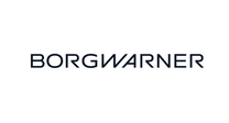 [BOGWARNER] IT Network Specialist