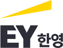 [EY한영] 금융컨설팅부문 Business Consulting 인턴