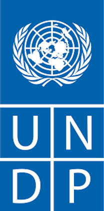 [UNDP] Intern - Development Cooperation