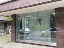 광교/초등 영어 / 풀타임