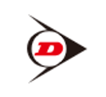 [던롭스포츠코리아] 각 부문 채용