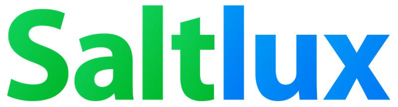 솔트룩스 기업 로고 이미지