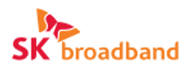 [SK브로드밴드] 2025 SK브로드밴드 Junior Talent 채용 (마케팅/영업)