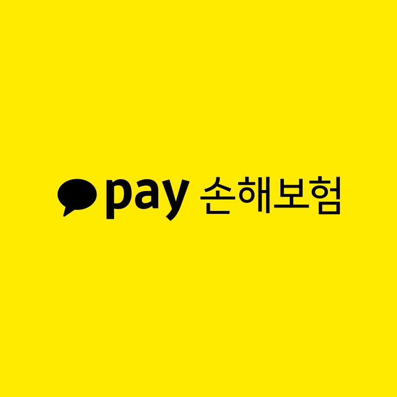 카카오페이손해보험