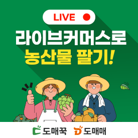 [여의도] 월 1000수익나는 농산물판매 방법과 라이브커머스 판매 노하우