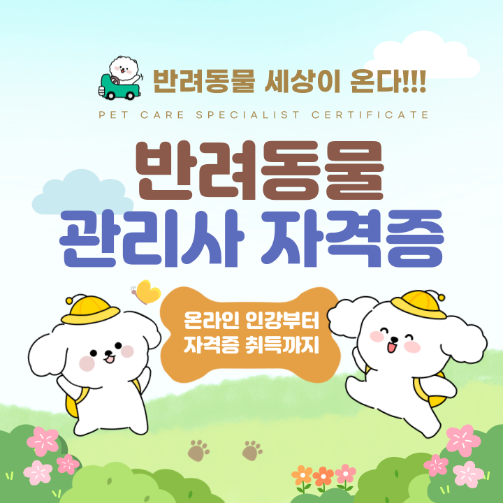 반려동물관리사 자격증 무료취득 (온라인 4주 교육과정)