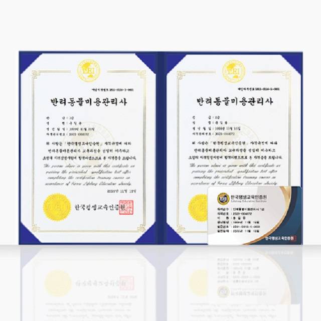 AI 및 반려동물 관련 자격증 ,  심리상담분야 / 전문, 지도사 자격증 과정