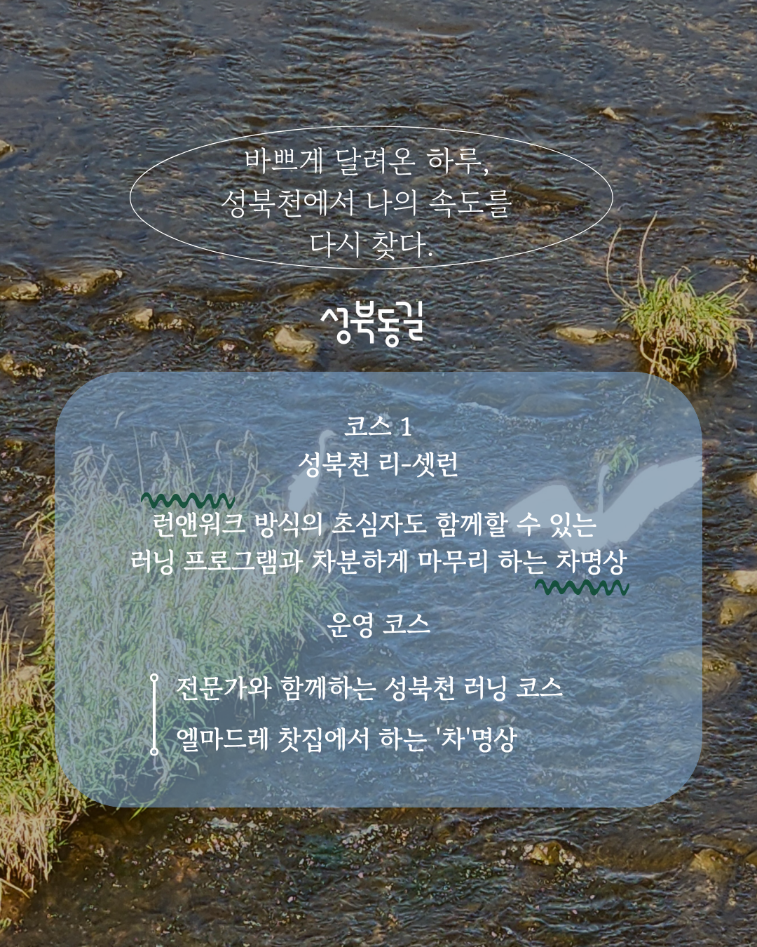 성북동길 체험형 투어 프로그램 성북천 리-셋런 & 차(tea)명상 참여자 모집!