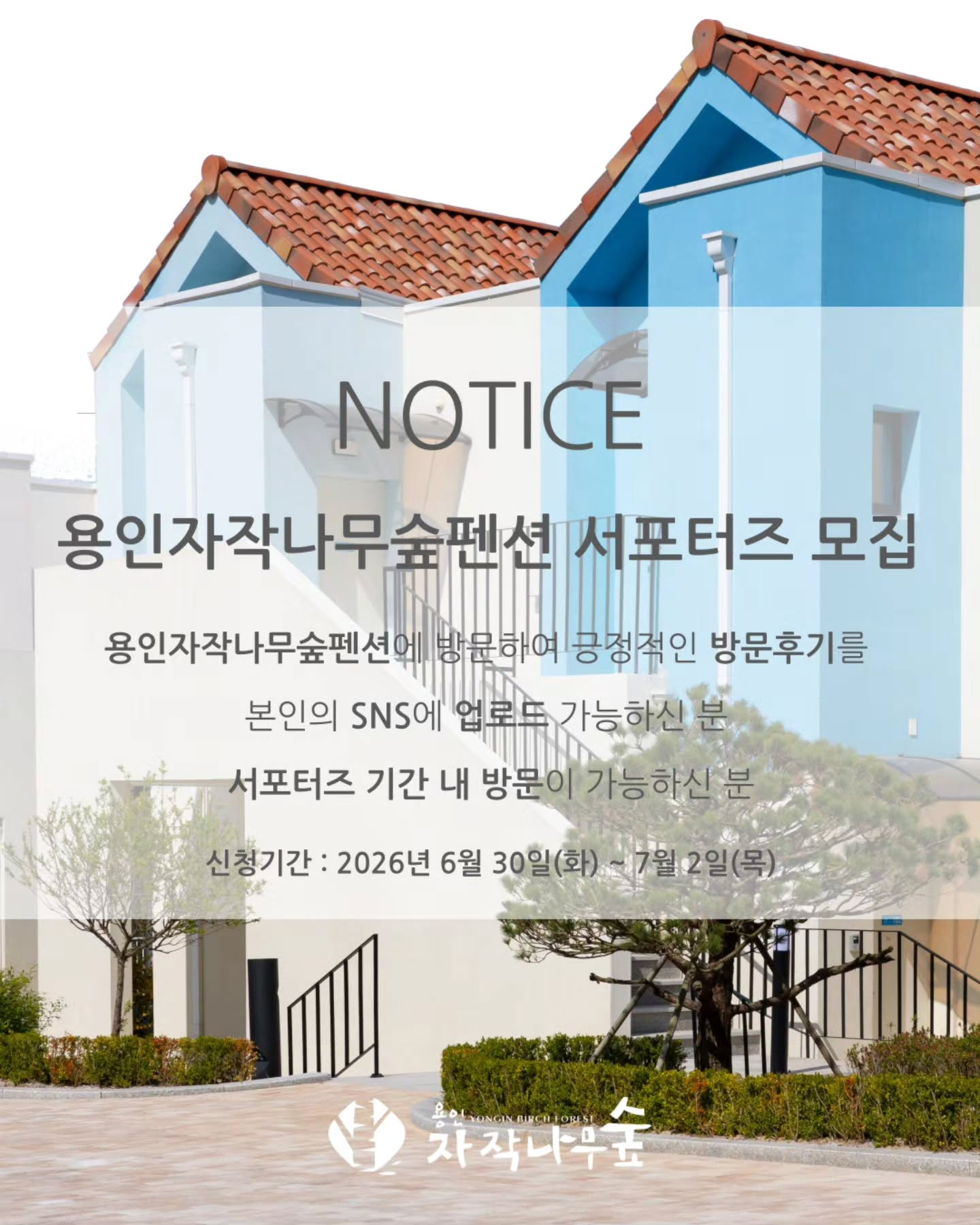 용인자작나무숲펜션 서포터즈 모집