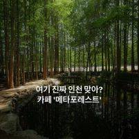 북적북적 소모임