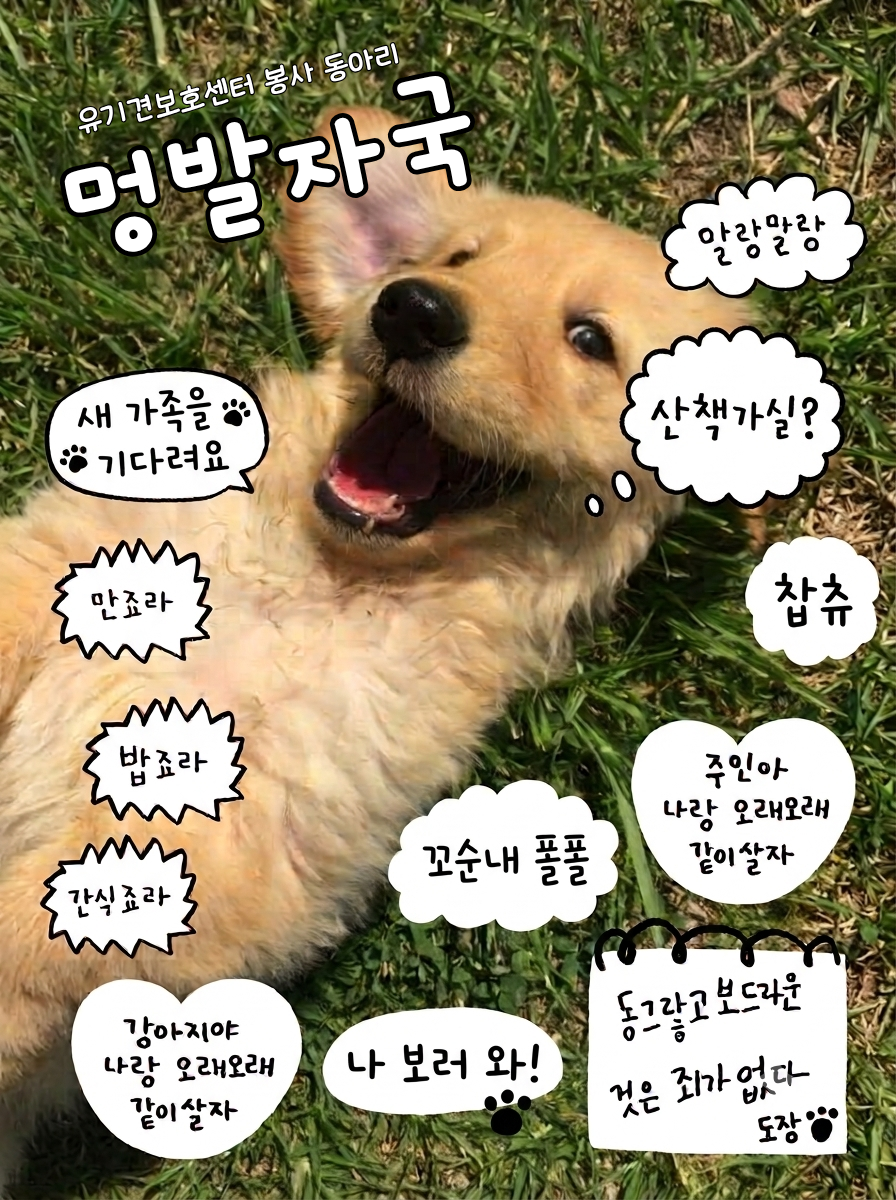 유기견보호센터 봉사 동아리 [멍발자국] 4기 모집