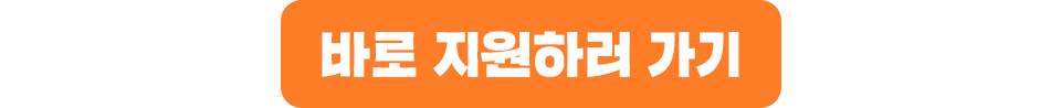 언니의파우치 서포터즈 14기