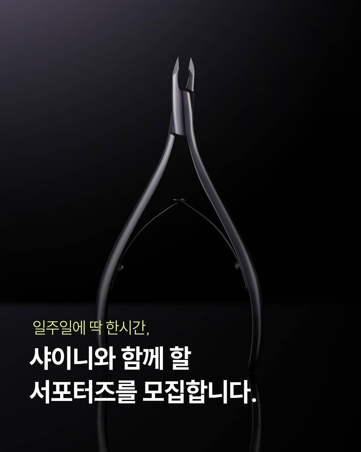 샤이니의 니퍼라인을 빛내주실 서포터즈를 모집합니다.
