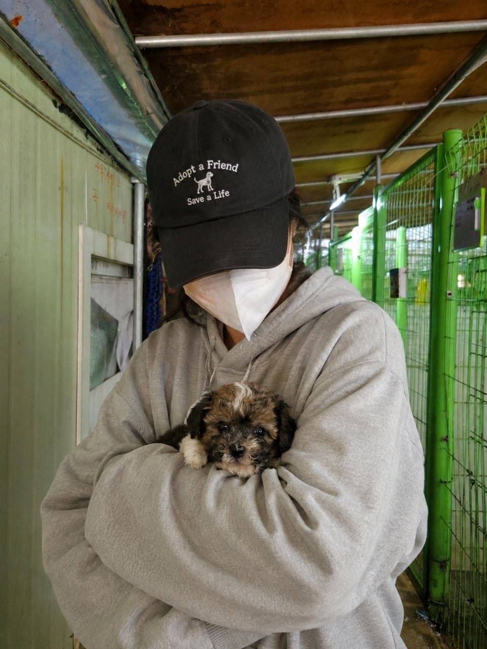 유기견 봉사 동아리 PAW:ON (포온) 신입 회원 모집
