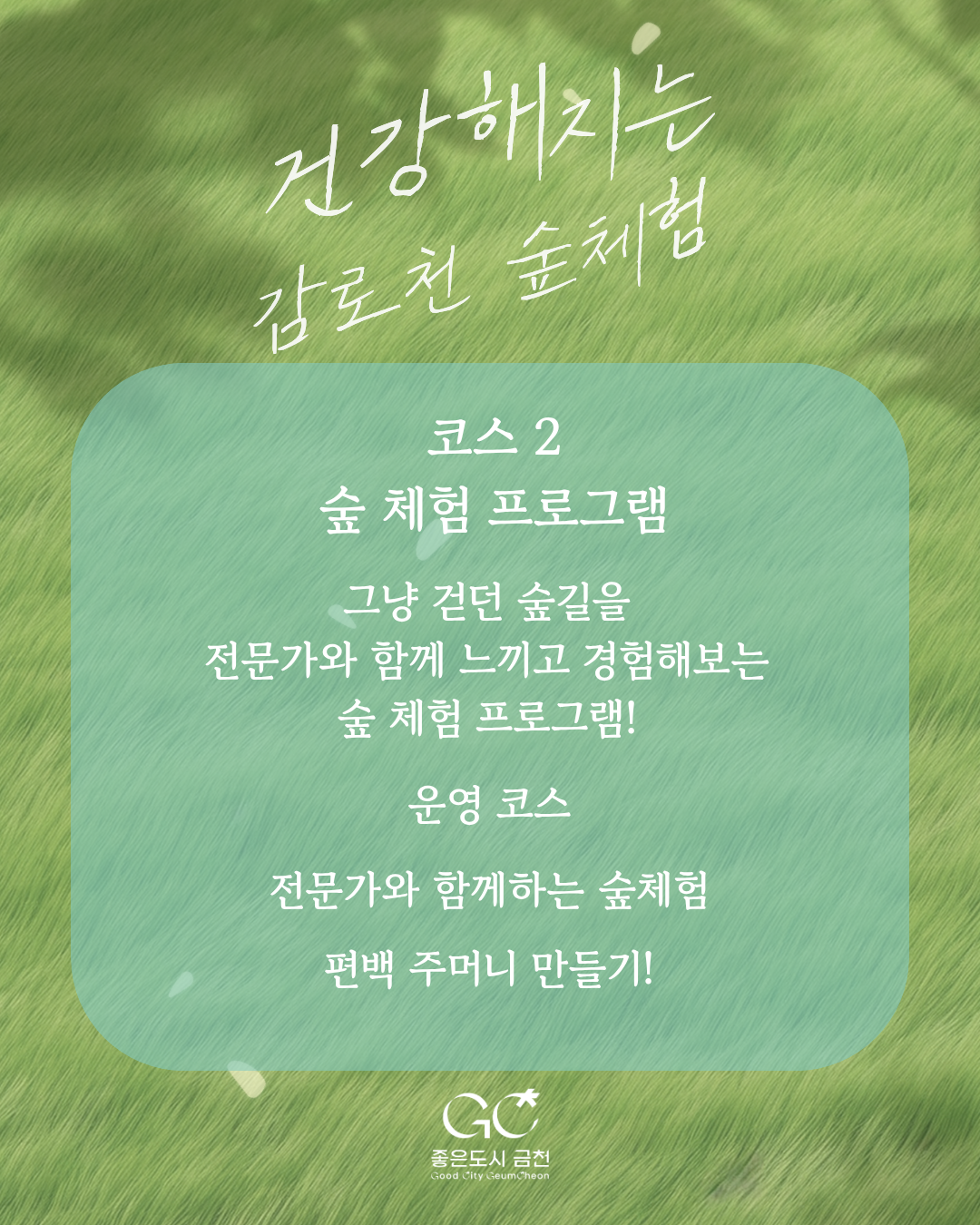 시니어들을 위한 숲체험 프로그램(시니어 대상)