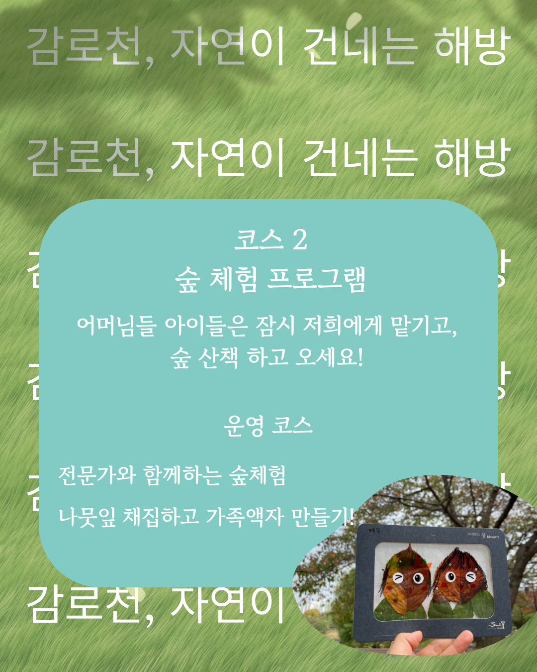 청년 엄마들을 위한 숲체험 프로그램(어린이 대상)
