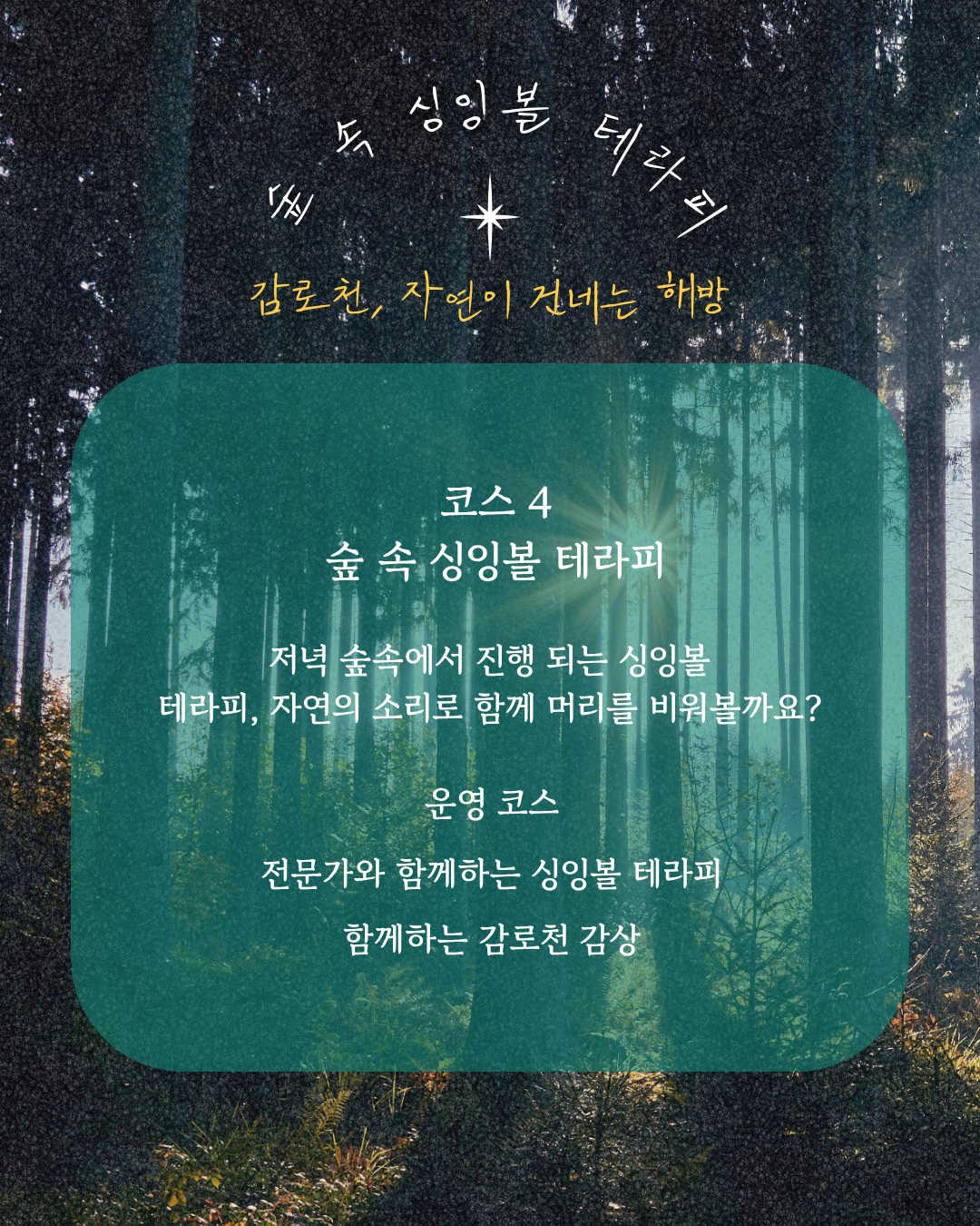 숲속 싱잉볼 테라피 (2030 청년 우대)