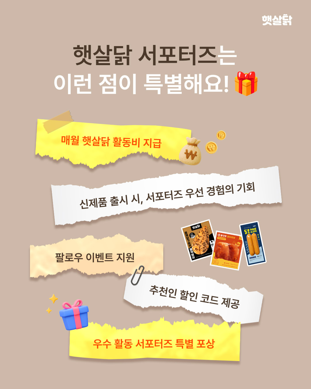 [햇살닭] 서포터즈 햇포터즈 15기 모집